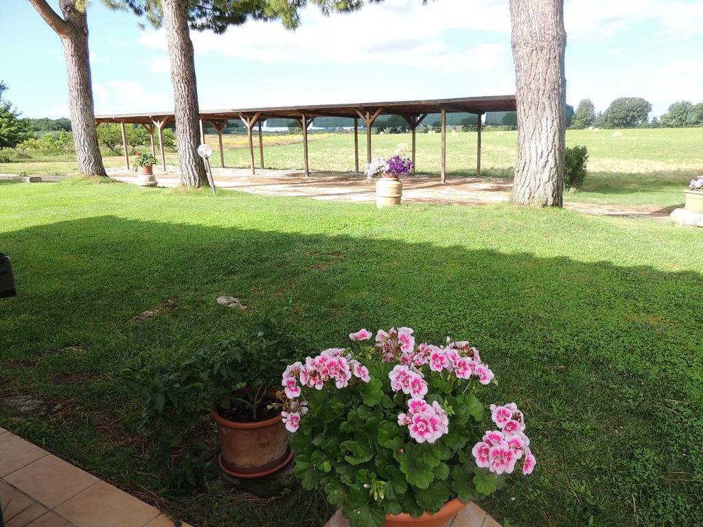 Agriturismo Valle Martina Saturnia Ngoại thất bức ảnh